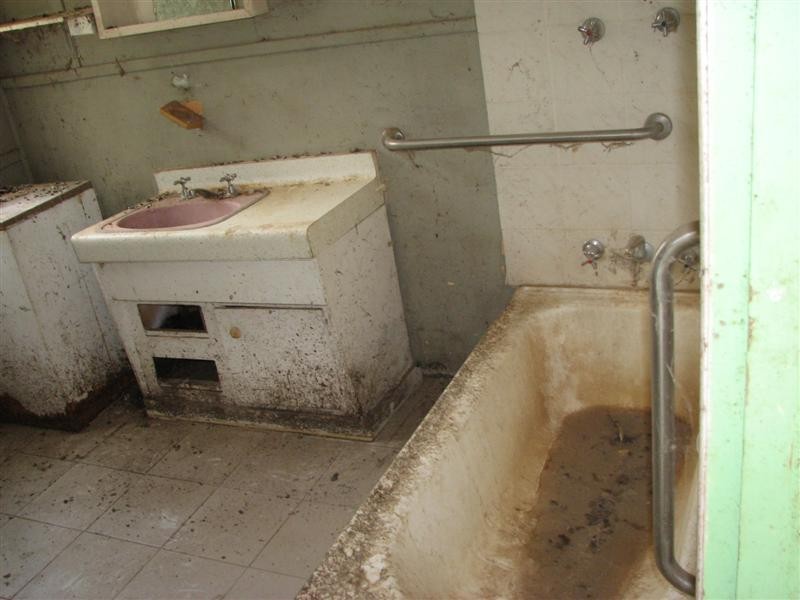 13 York Street, Greenethorpe NSW 2809