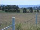 Lot 5 Camp Road, Cowra NSW 2794
