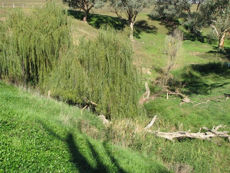 0 Binni Creek Road / George Russell Drive, Cowra NSW 2794