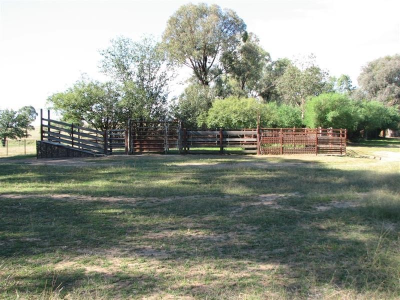 0 Binni Creek Road / George Russell Drive, Cowra NSW 2794