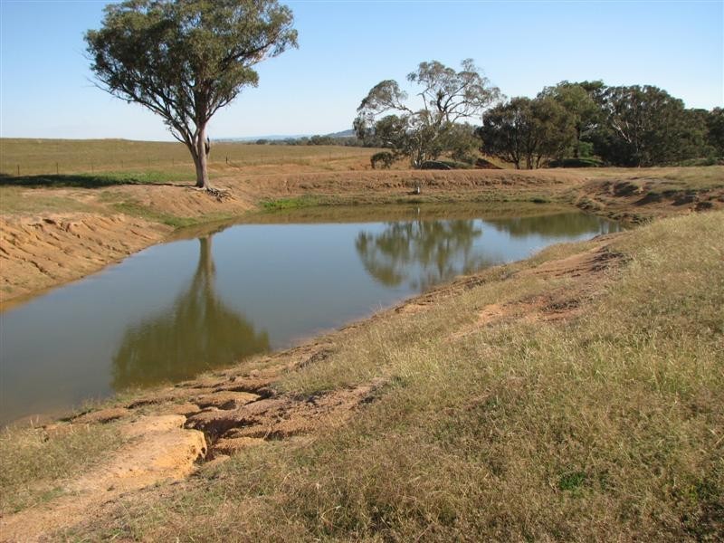 0 Binni Creek Road / George Russell Drive, Cowra NSW 2794