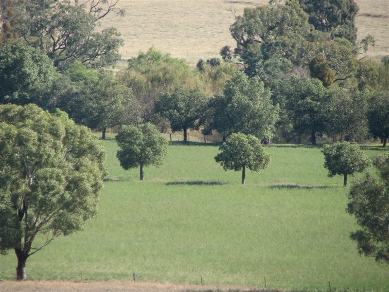 0 Binni Creek Road / George Russell Drive, Cowra NSW 2794