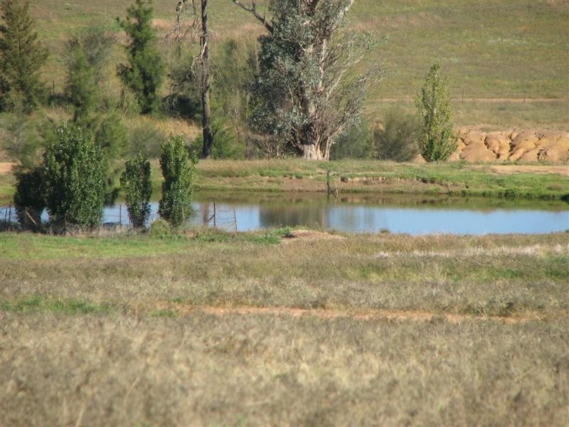 0 Binni Creek Road / George Russell Drive, Cowra NSW 2794