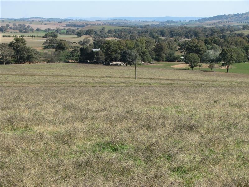 0 Binni Creek Road / George Russell Drive, Cowra NSW 2794