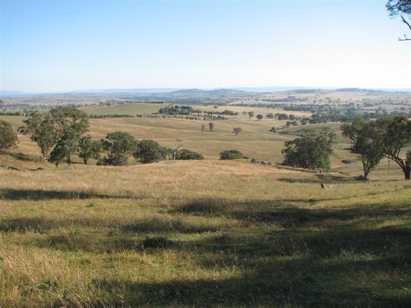 0 Binni Creek Road / George Russell Drive, Cowra NSW 2794