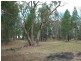 Lot 31 Cobb Way, Woodstock NSW 2793