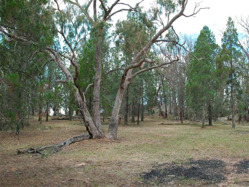 Lot 31 Cobb Way, Woodstock NSW 2793