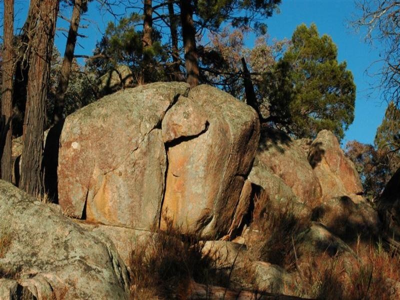 Lot 31 Cobb Way, Woodstock NSW 2793