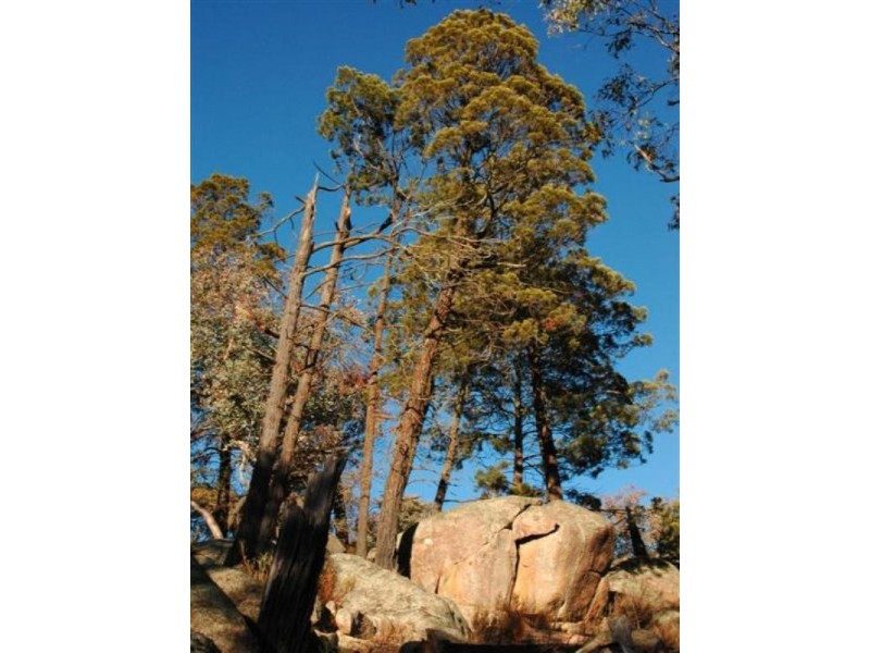 Lot 31 Cobb Way, Woodstock NSW 2793