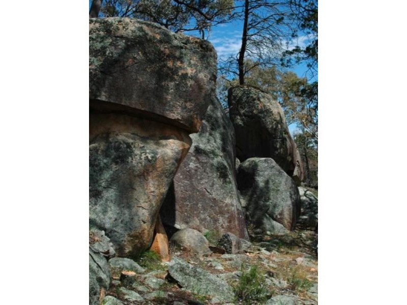 Lot 31 Cobb Way, Woodstock NSW 2793