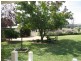 52 Melyra Street, Grenfell NSW 2810
