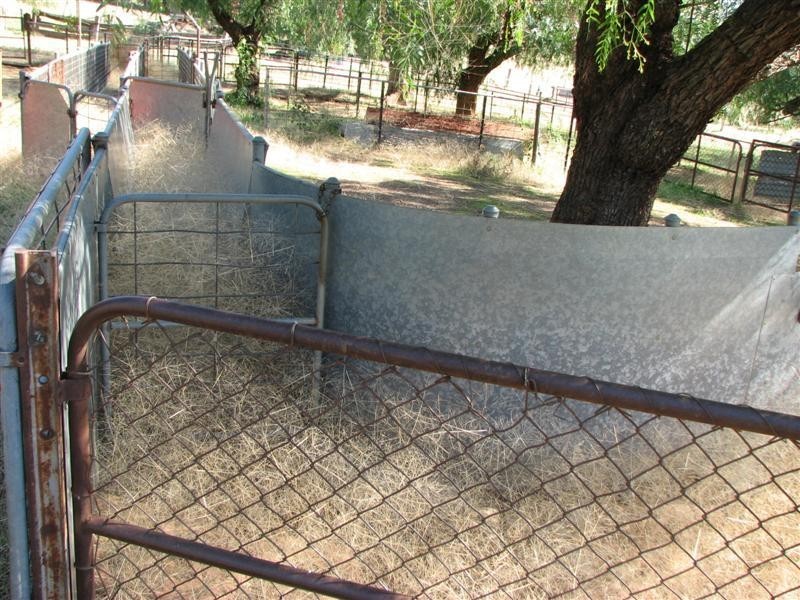 0 Binni Creek Road / George Russell Drive, Cowra NSW 2794