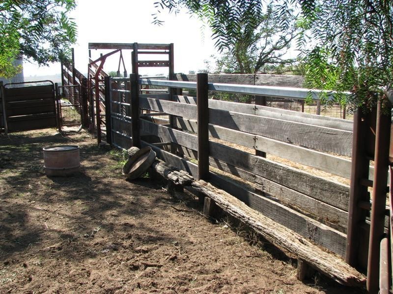 0 Binni Creek Road / George Russell Drive, Cowra NSW 2794