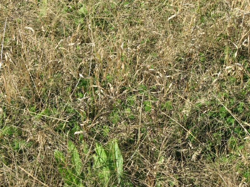 0 Binni Creek Road / George Russell Drive, Cowra NSW 2794