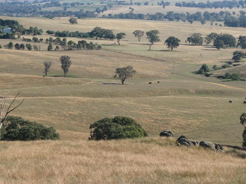 0 Binni Creek Road / George Russell Drive, Cowra NSW 2794