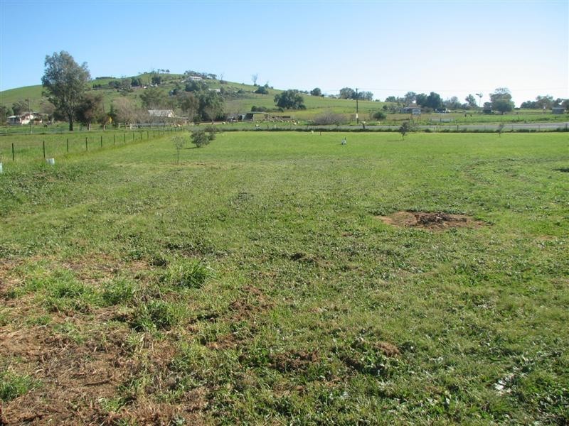 4195 Belubula Way, Canowindra NSW 2804