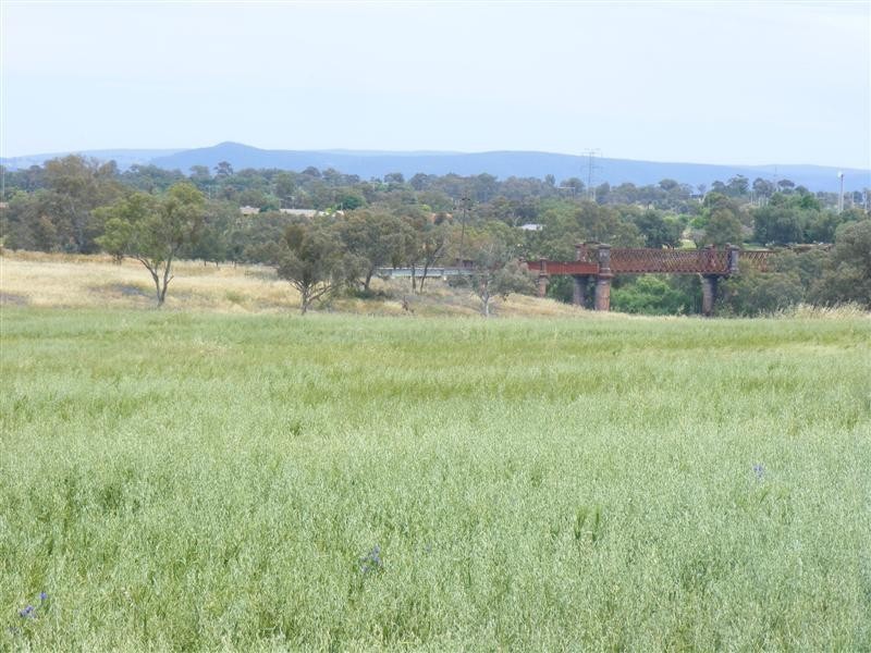 17 Taragala Street, Cowra NSW 2794