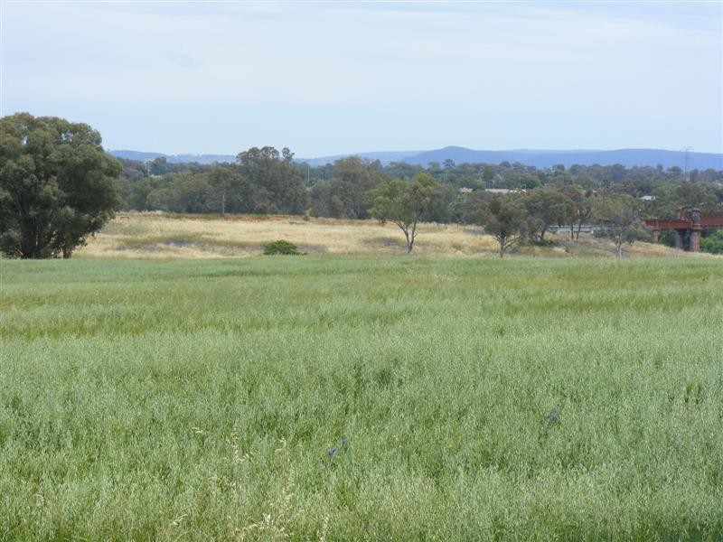 17 Taragala Street, Cowra NSW 2794