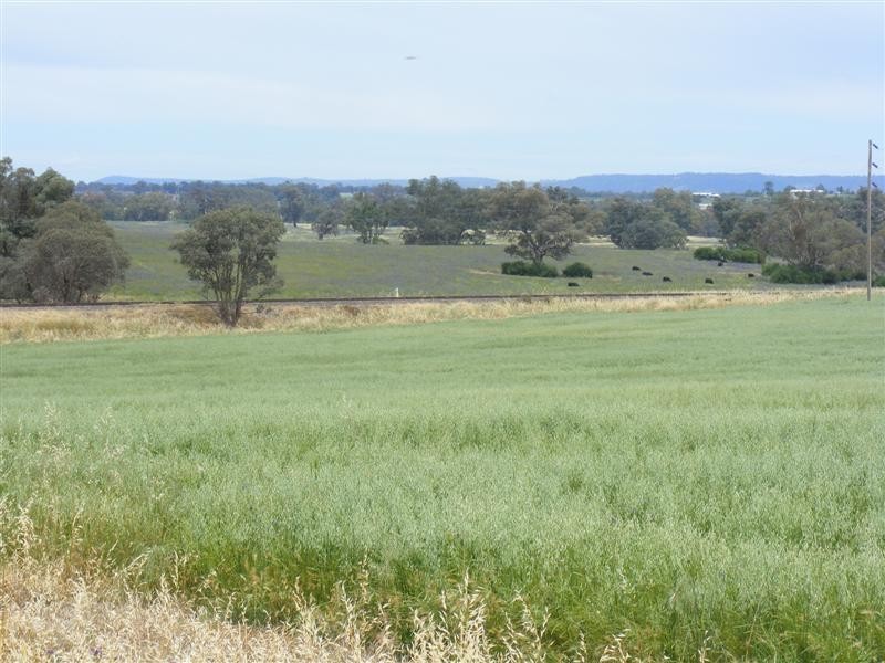 17 Taragala Street, Cowra NSW 2794