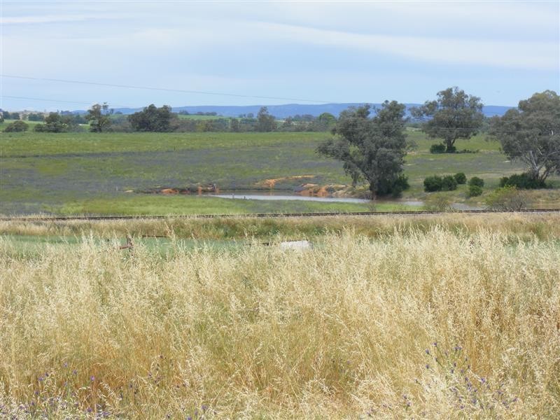 17 Taragala Street, Cowra NSW 2794
