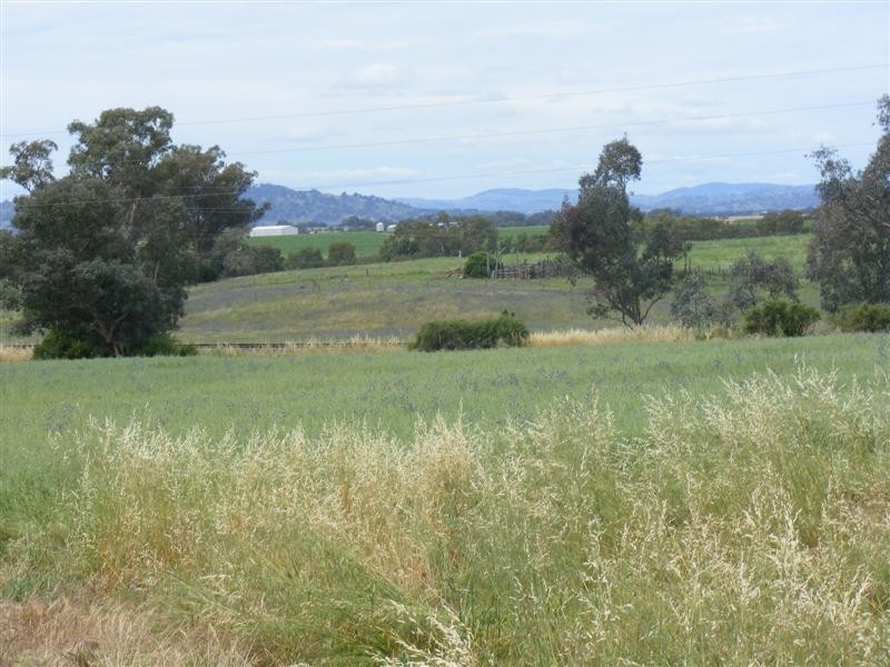 17 Taragala Street, Cowra NSW 2794