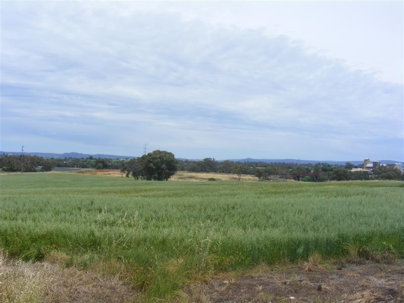 17 Taragala Street, Cowra NSW 2794