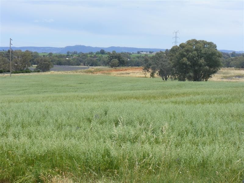 17 Taragala Street, Cowra NSW 2794