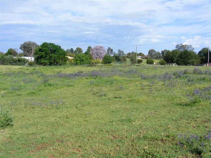 54 River Park Road, Cowra NSW 2794