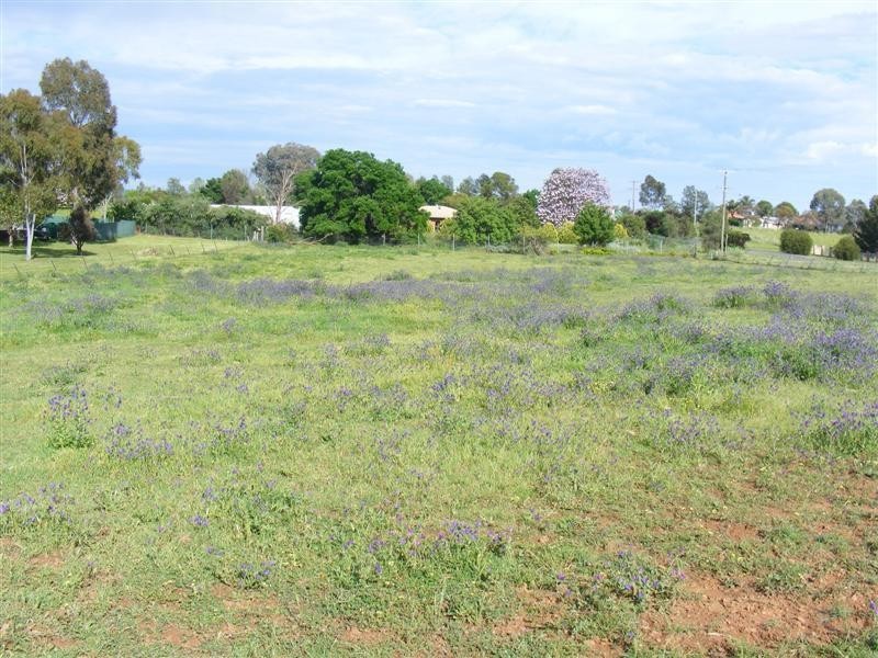 54 River Park Road, Cowra NSW 2794