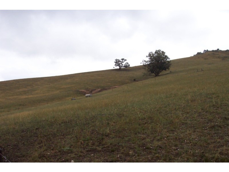 Lot 126 Glen Avon Road, Darbys Falls NSW 2793