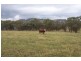 Lot 126 Glen Avon Road, Darbys Falls NSW 2793
