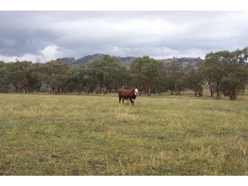 Lot 126 Glen Avon Road, Darbys Falls NSW 2793