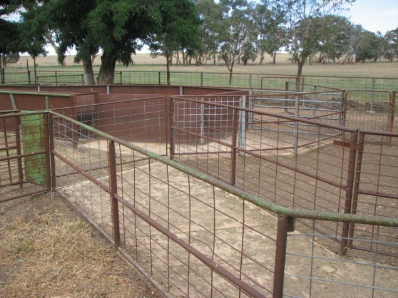 150 Rowans Lane, Bendick Murrell NSW 2803