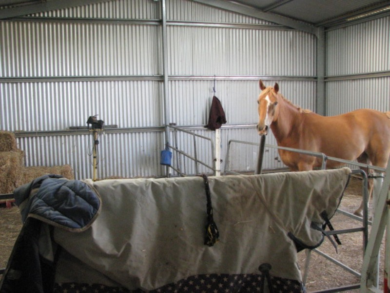 Lot 2 Square Road, Canowindra NSW 2804