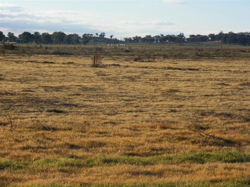 61 Farleigh Reserve Road, Cowra NSW 2794