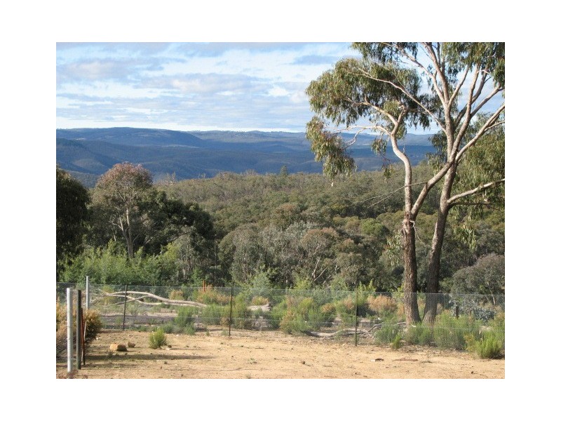 831 Tea Tree Road, Garland NSW 2797