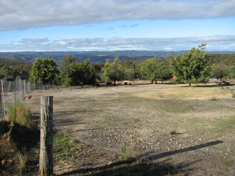 831 Tea Tree Road, Garland NSW 2797