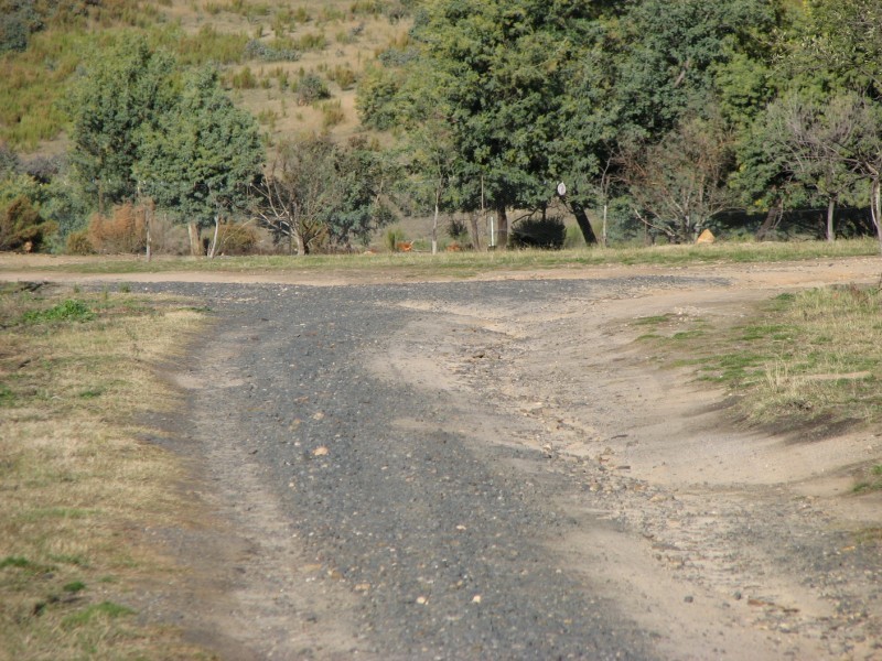 831 Tea Tree Road, Garland NSW 2797