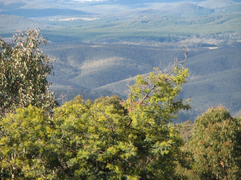 831 Tea Tree Road, Garland NSW 2797