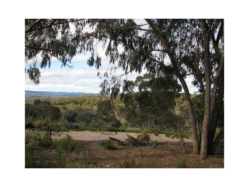 831 Tea Tree Road, Garland NSW 2797