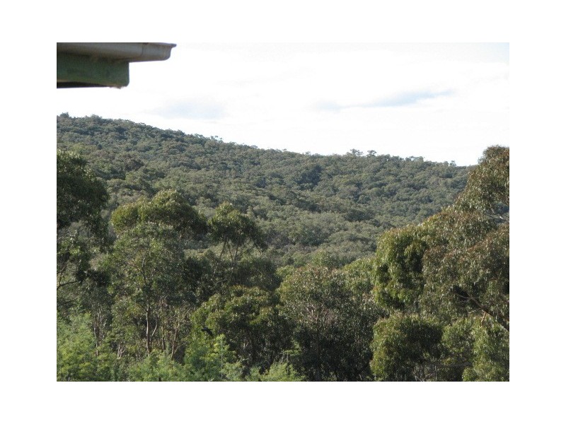 831 Tea Tree Road, Garland NSW 2797