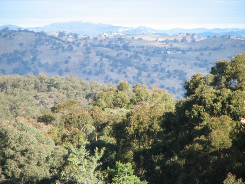 831 Tea Tree Road, Garland NSW 2797