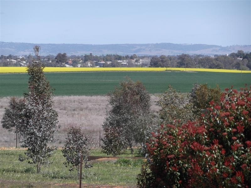 22 Kangaroo Flat Road, Cowra NSW 2794