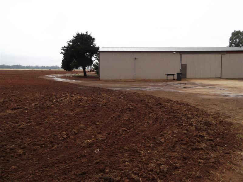 61 Farleigh Reserve Road, Cowra NSW 2794