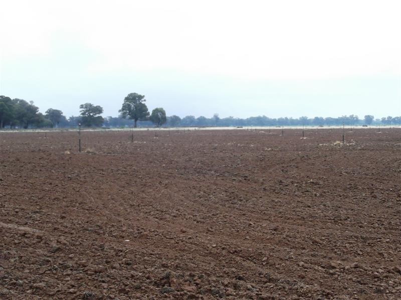 61 Farleigh Reserve Road, Cowra NSW 2794