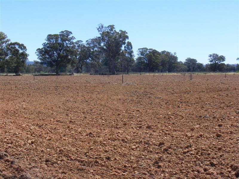 61 Farleigh Reserve Road, Cowra NSW 2794