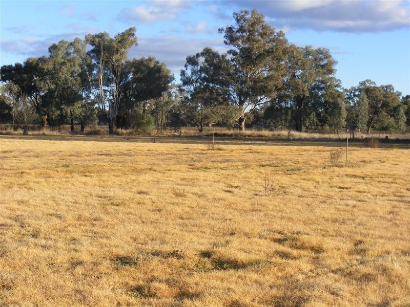 61 Farleigh Reserve Road, Cowra NSW 2794