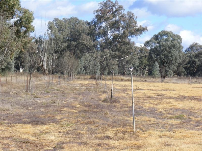 61 Farleigh Reserve Road, Cowra NSW 2794