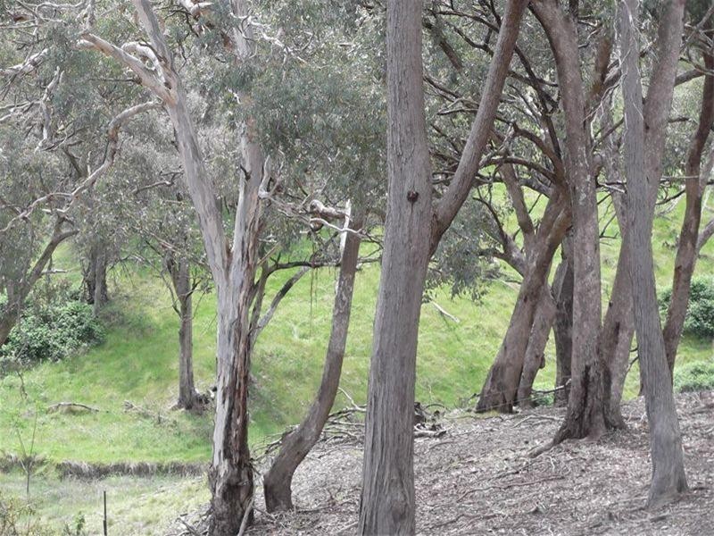 1745 Reg Hailstone Way, Woodstock NSW 2793