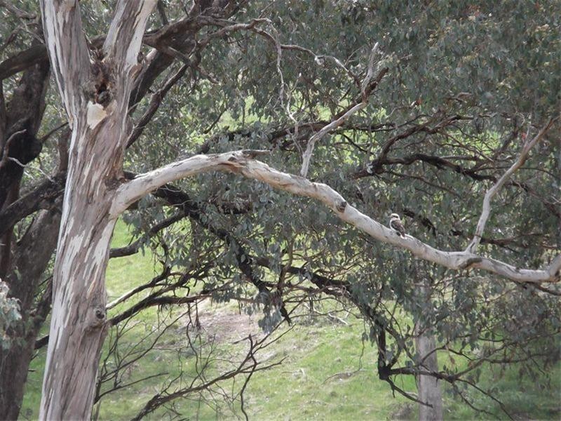 1745 Reg Hailstone Way, Woodstock NSW 2793